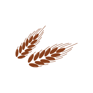 Gluten